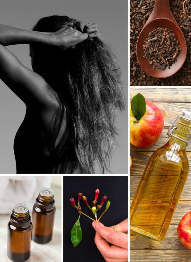 Apple Cider Vinegar Hair Rinse with Clove Water